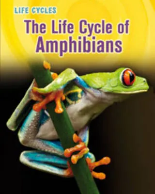 Life Cycles Pack A of 4