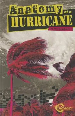 Anatomy of a Hurricane
