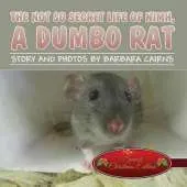 The Not So Secret Life of NIMH, a Dumbo Rat: (Special Christmas Edition)