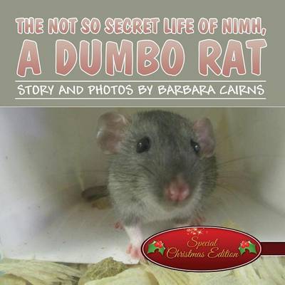 The Not So Secret Life of NIMH, a Dumbo Rat: (Special Christmas Edition)