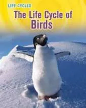 The Life Cycle of Birds