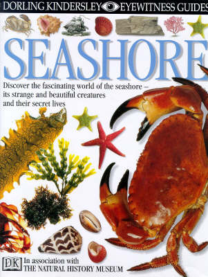 Seashore