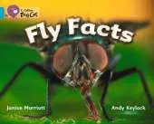 Fly Facts Workbook