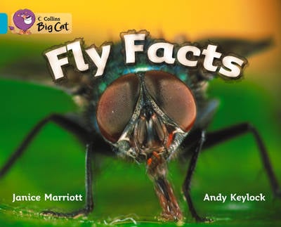 Fly Facts Workbook