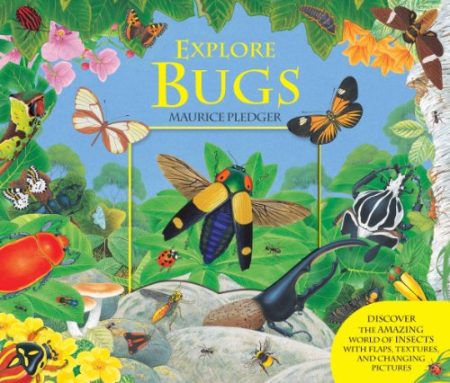 Explore Bugs