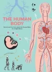 Human Body: Secrets and Fun Facts About the Human Body at a Single Glance
