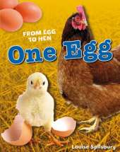 One Egg: Age 6-7, average readers