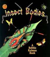 Insect Bodies