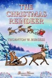 The Christmas Reindeer