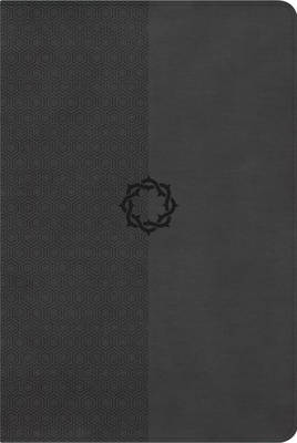 The HCSB Essential Teen Study Bible