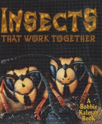Insects That Work Together