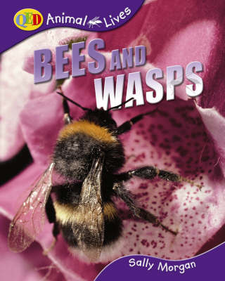 Bees and Wasps