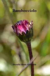 Bambocciolo