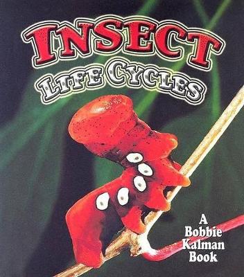 Insect Life Cycles