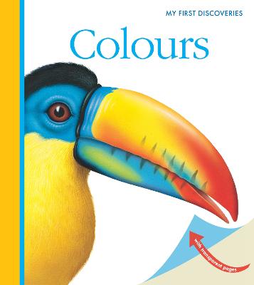 Colours