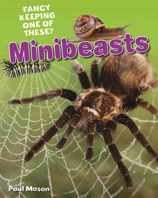 Minibeasts: Age 5-6, average readers