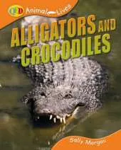Crocodiles and Alligators