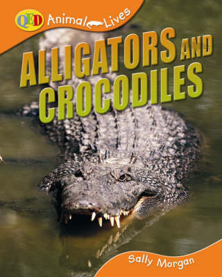 Crocodiles and Alligators