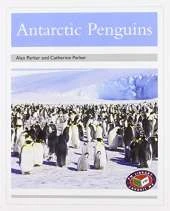 Antarctic Penguins