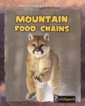 Mountain Food Chains