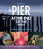 The Pier at the End of the World