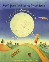I Took the Moon for a Walk
