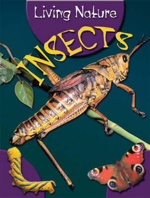 LIVING NATURE INSECTS