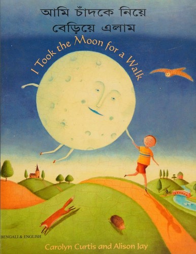 I Took the Moon for a Walk