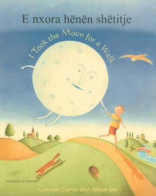 I Took the Moon for a Walk