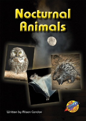 Nocturnal Animals