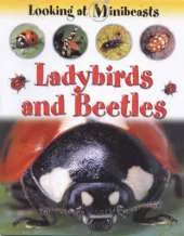 Ladybirds and Beetles