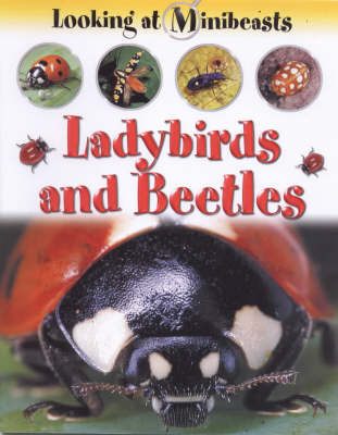 Ladybirds and Beetles