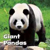 Black and White Animals Giant Pandas