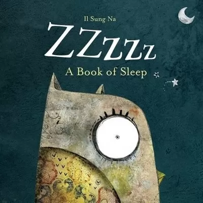Zzzzz: A Book of Sleep