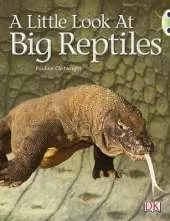 Bug Club Non-fiction Blue (KS1) B/1B A Little Look of Reptiles 6-pack