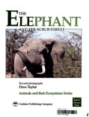 The Elephant and the Scrub Forest