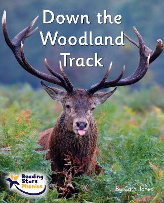 Down the Woodland Track: Phase 4