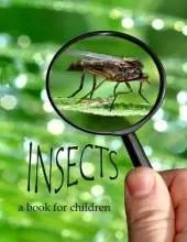 Insects - a book for children: All about insects