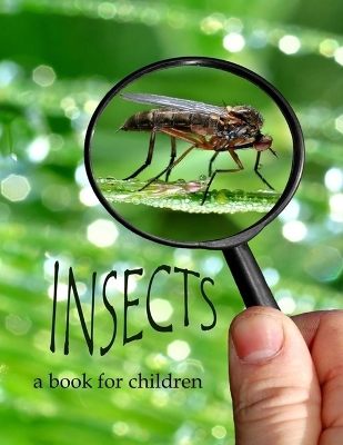 Insects - a book for children: All about insects