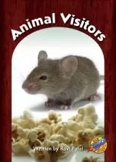 Animal Visitors