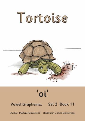 Tortoise: Vowel Graphemes