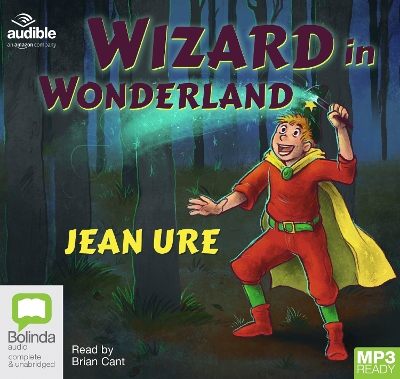 Wizard in Wonderland