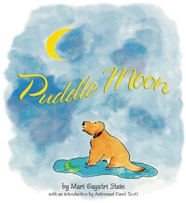Puddle Moon