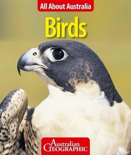 BIRDS ALL ABOUT AUS