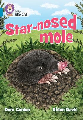 Star-nosed Mole: Band 13/Topaz