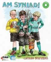 Y Senedd/Am Syniad!