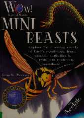 Mini Beasts