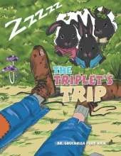 The Triplet's Trip