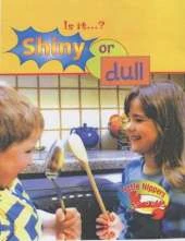 Shiny or Dull