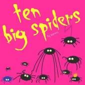10 Big Spiders